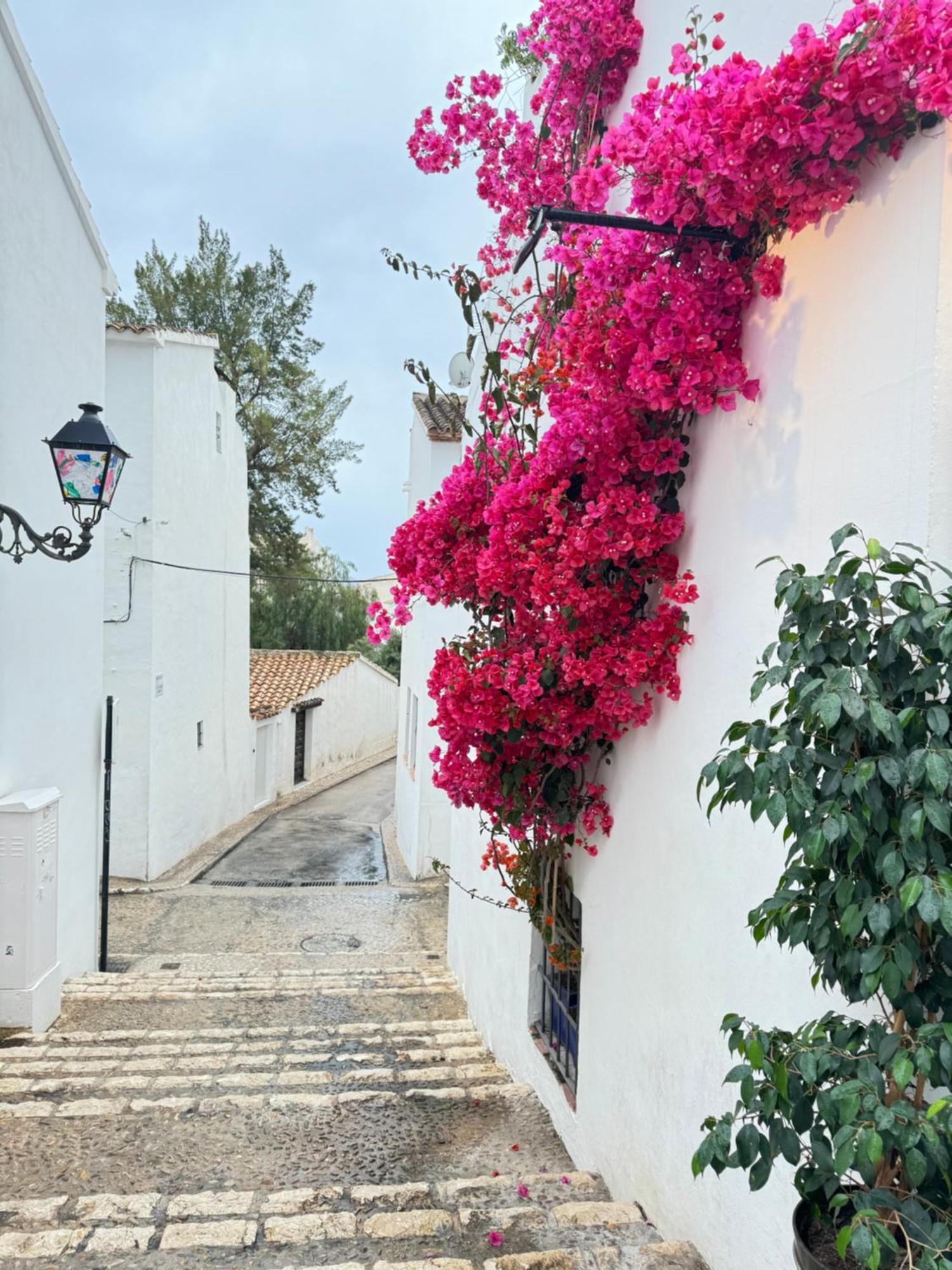 Beach Apartament In Τορεβιέχα Εξωτερικό φωτογραφία